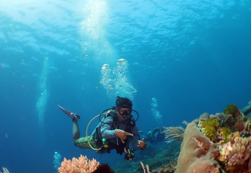 4D 3N Dive Liveaboard PRE BOOK NOW