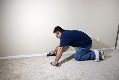 Getting Mold Removal Services image