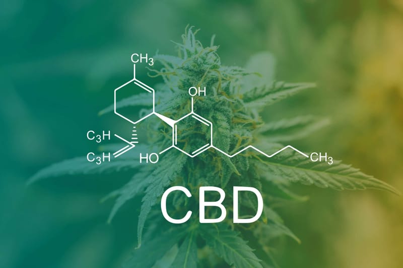 Qu Es El Cbd Sulara Productos De La Tierra