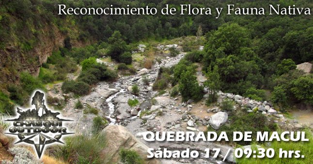 Caminata Reconocimiento de Flora y Fauna - Quebrada de Macul