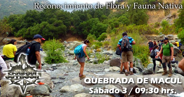 Caminata Reconocimiento de Flora y Fauna - Quebrada de Macul