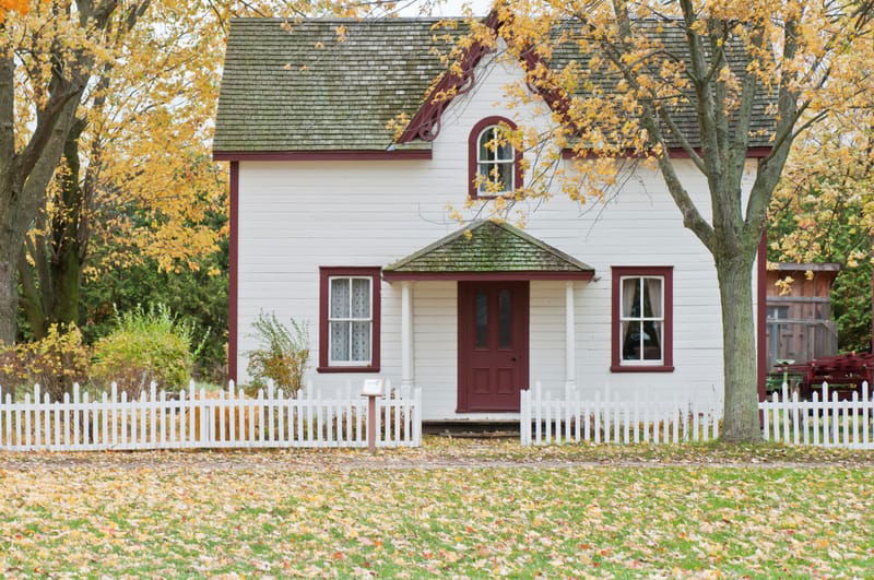 House / Business Cleansing