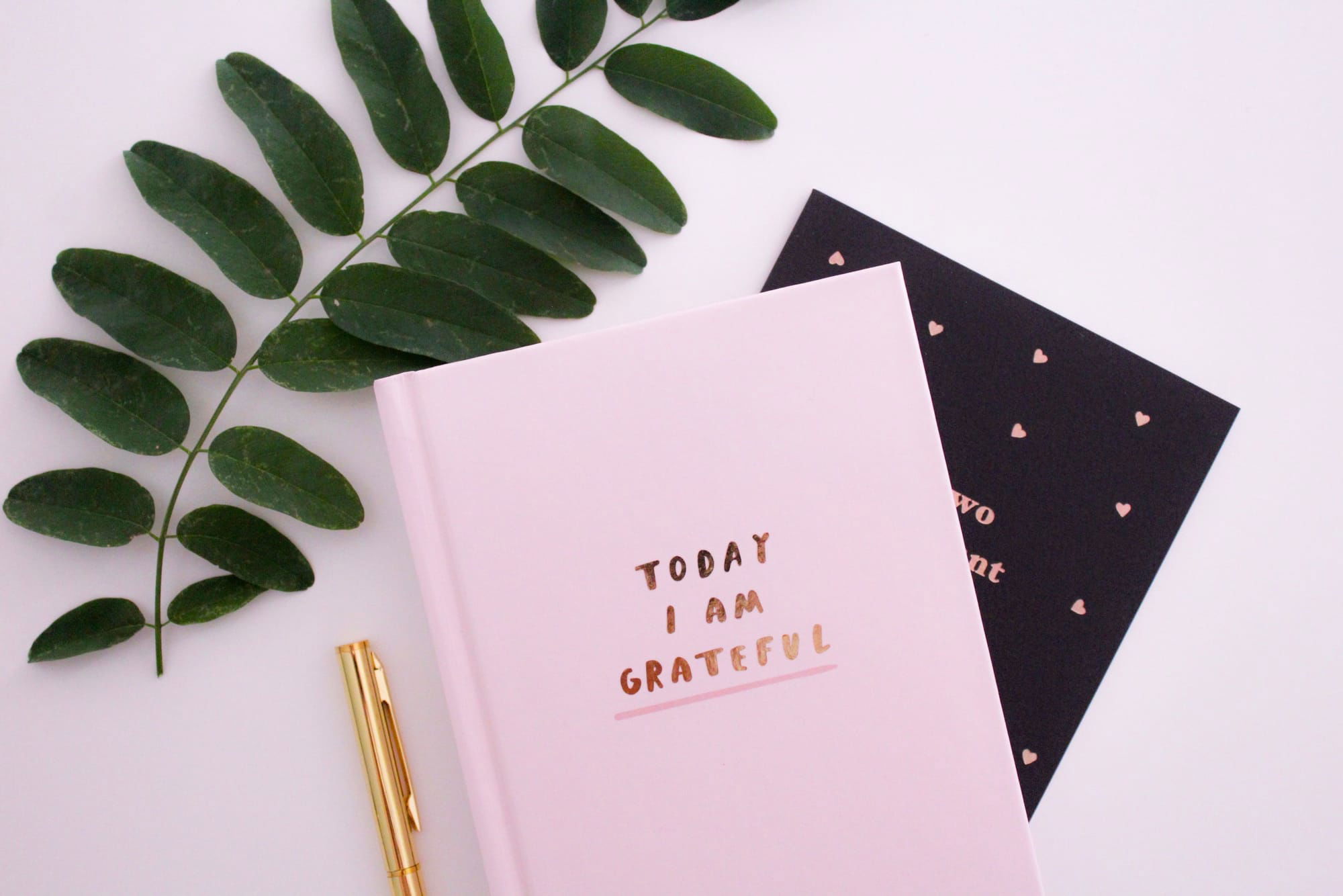 Le journal de gratitude : C’est bon pour le moral