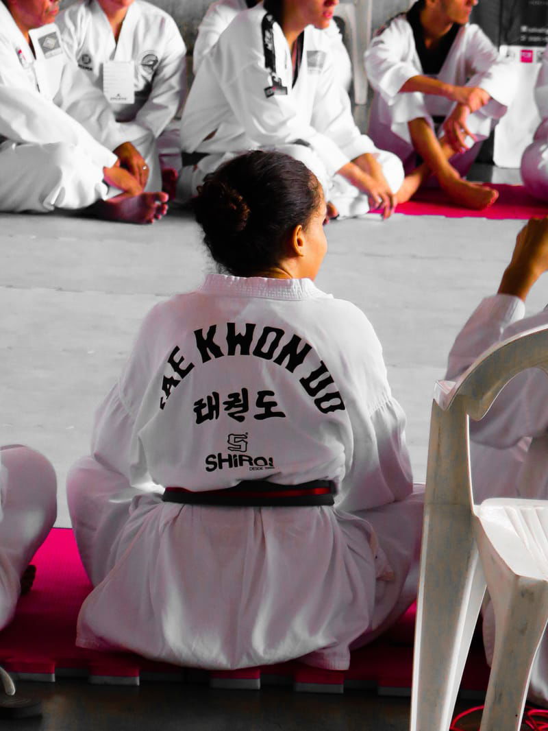 Taekwondo Sessions
