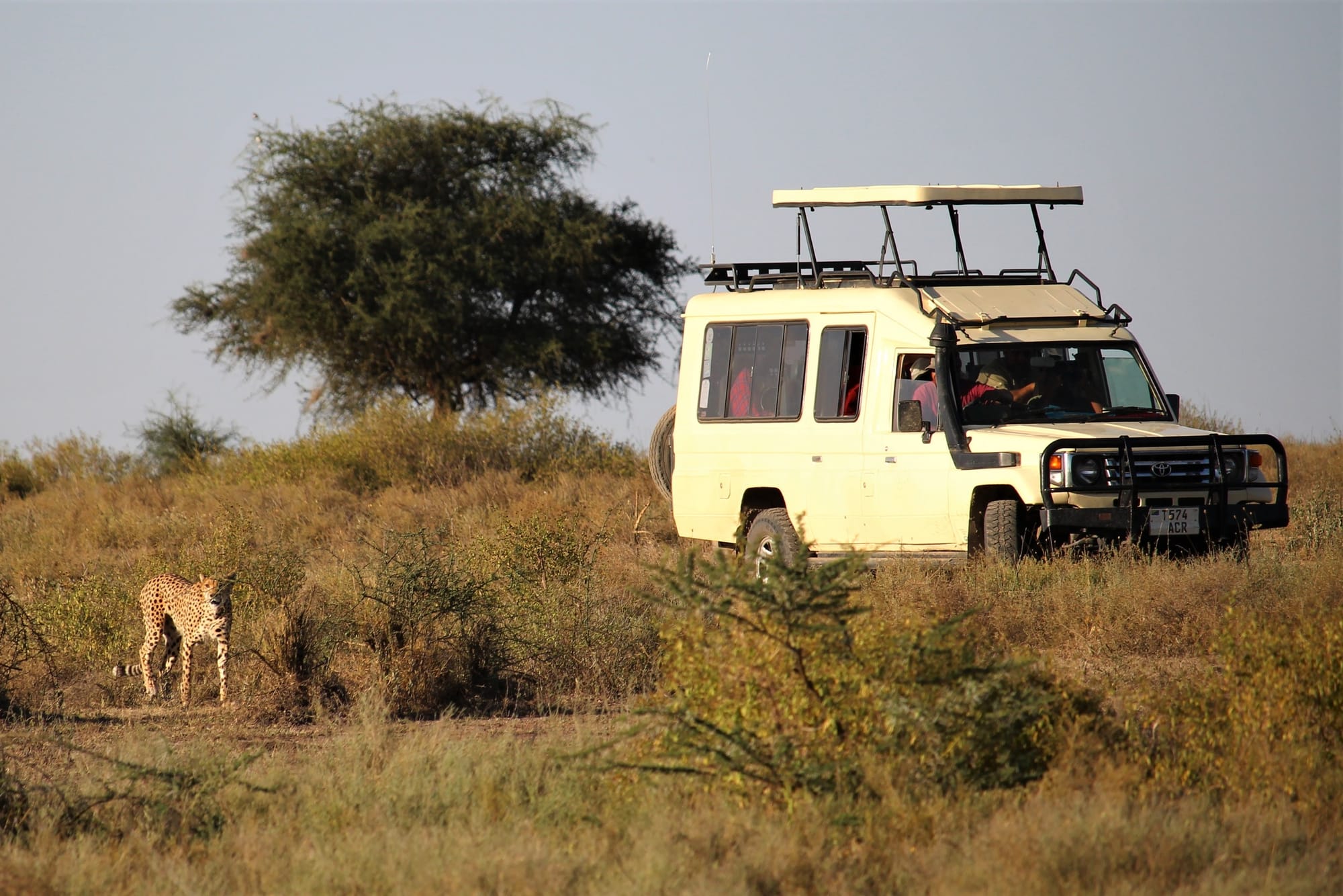 ARUSHA NATIONAL PARK