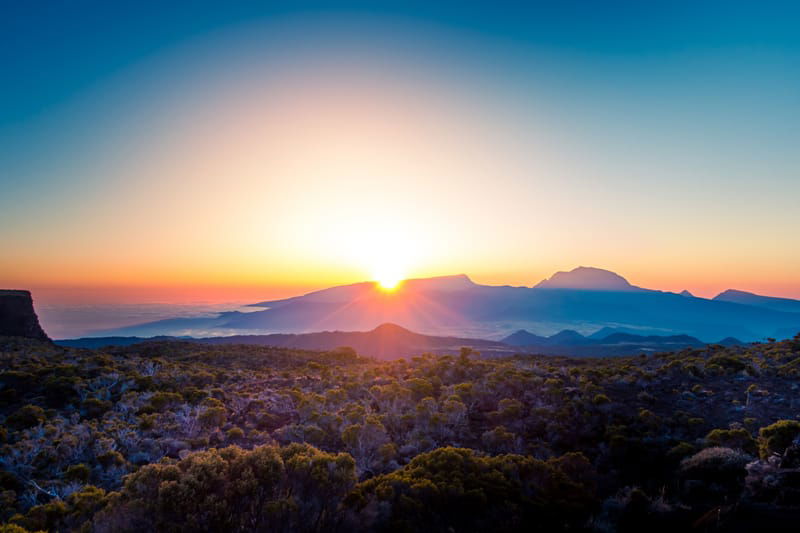 De innerlijke Bloem die de lichamen transmuteert