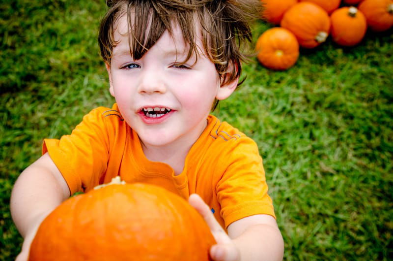 Fall Homeschool Day