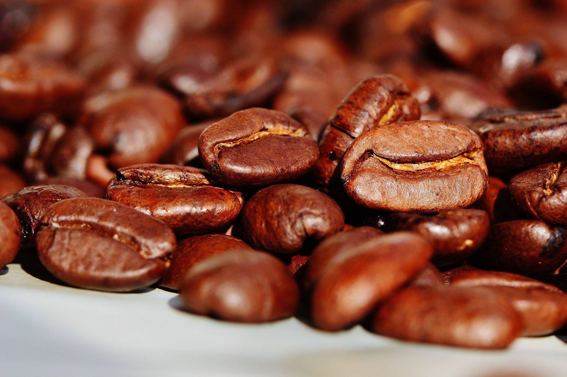 علماء إماراتيون ينجحون في إنتاج الوقود الحيوي من مخلفات القهوة