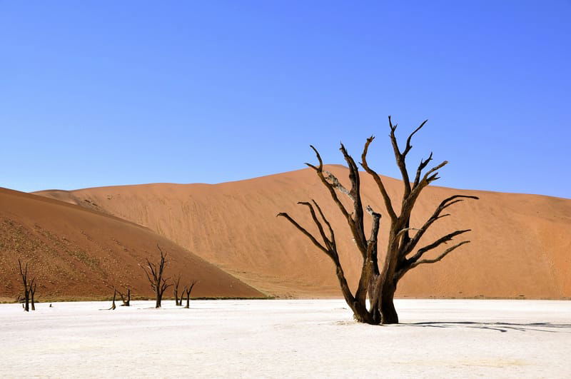 Scenic Namibia - Windhoek to Windhoek