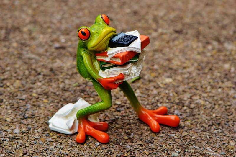 Tranquil Minds: Stress and Anxiety Management Coaching.