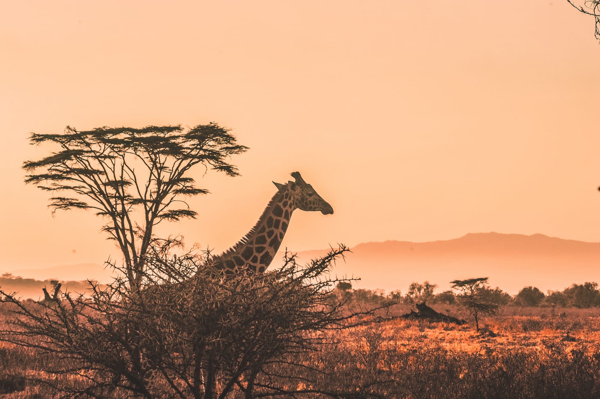 TOUR SUD AFRICA