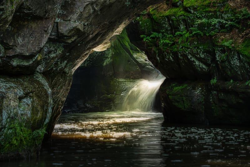 The Blind Cave Creatures Shed Light on the Secrets of Evolution