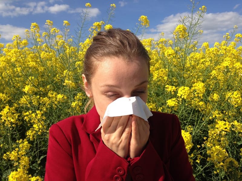 Vortrag Allergie- Schrecken unserer Zeit
