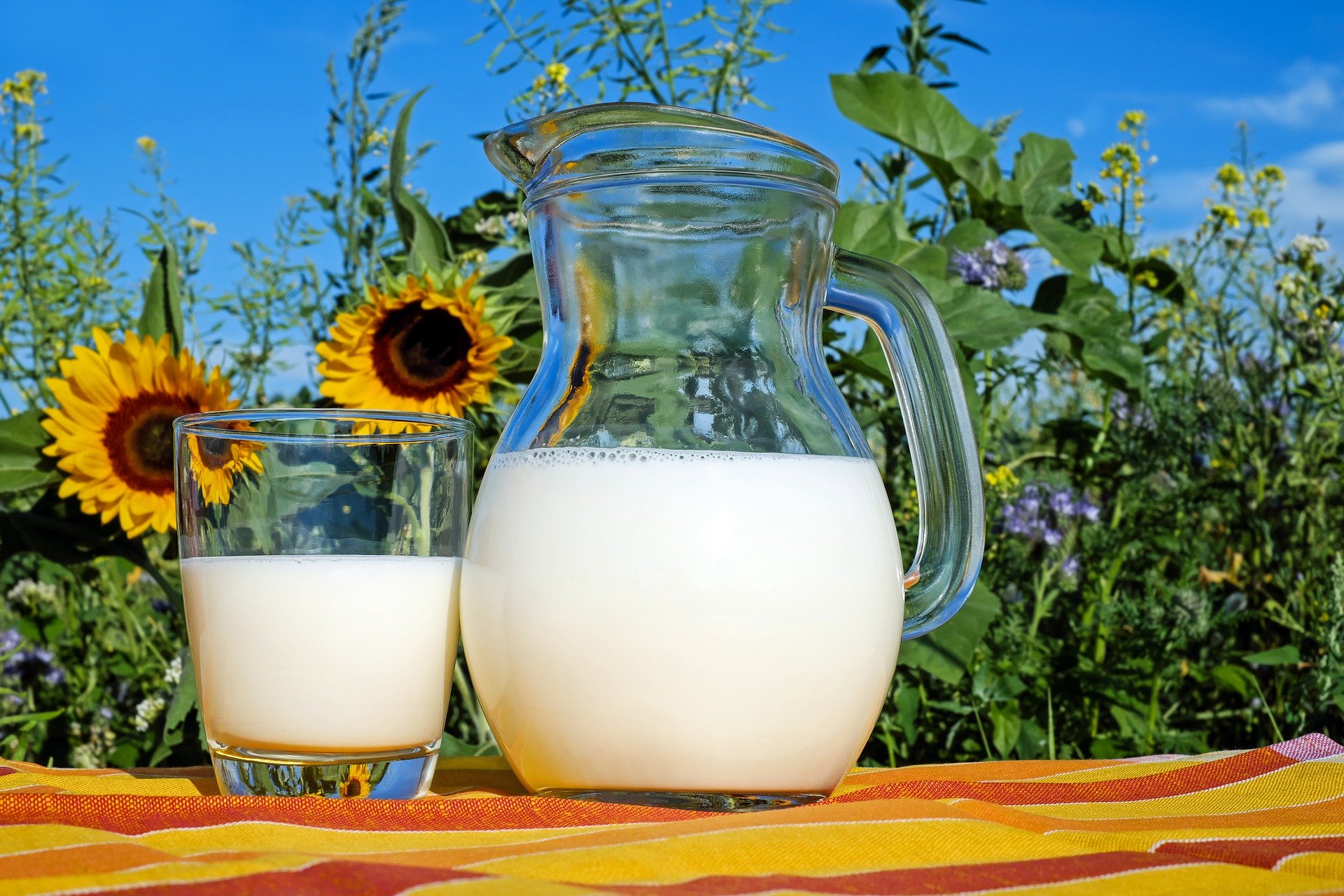 شرب كوبين من هذا الحليب يومياً يساعد في خسارة الدهون الحشوية!