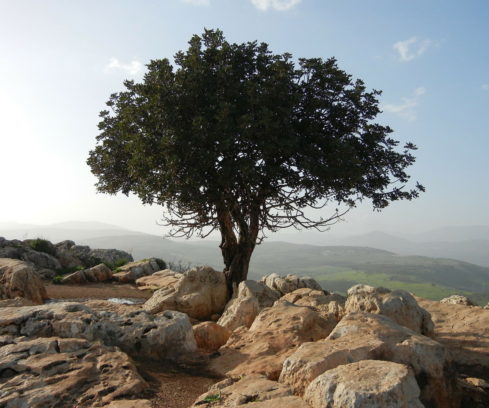 על ערך הרעות – “צועדים עם בארי” – שבוע 116