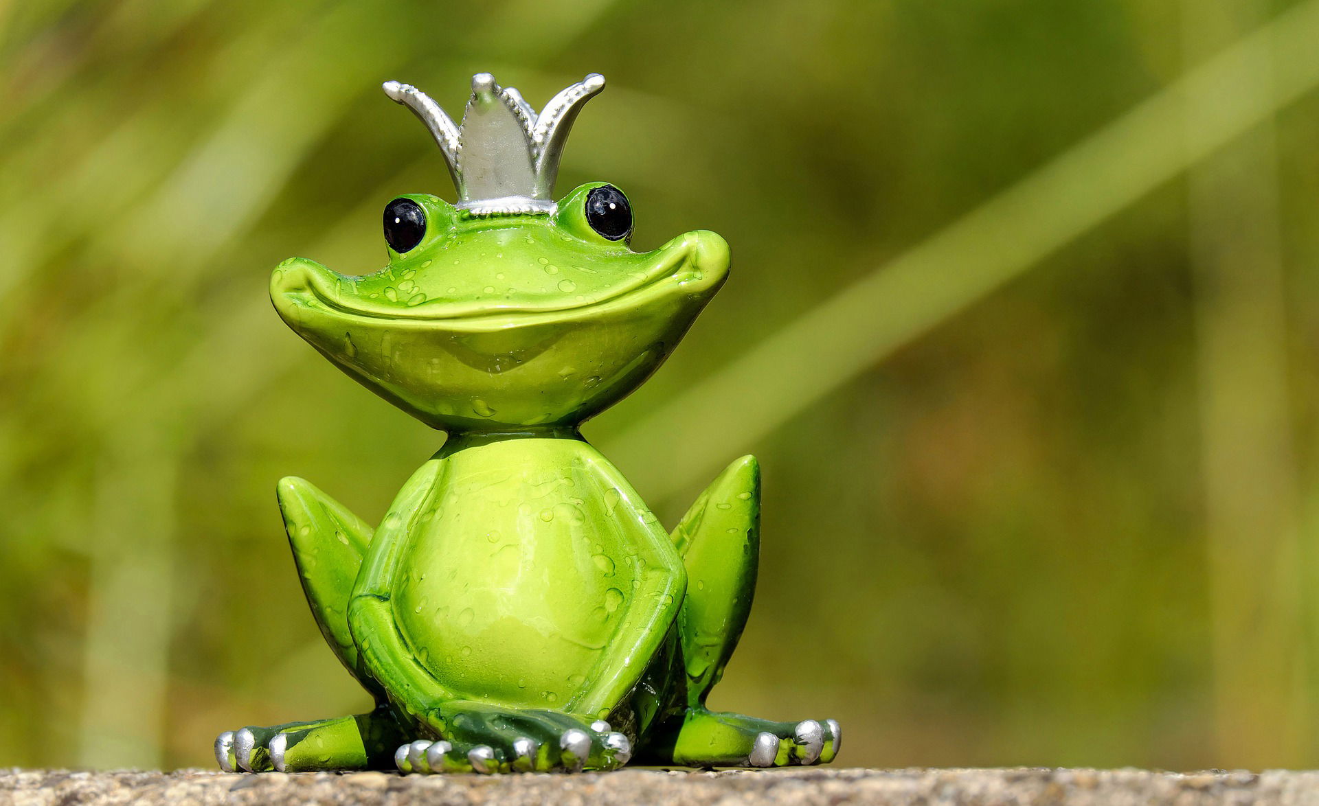 Der kleine Frosch: Die Kraft der positiven Motivation