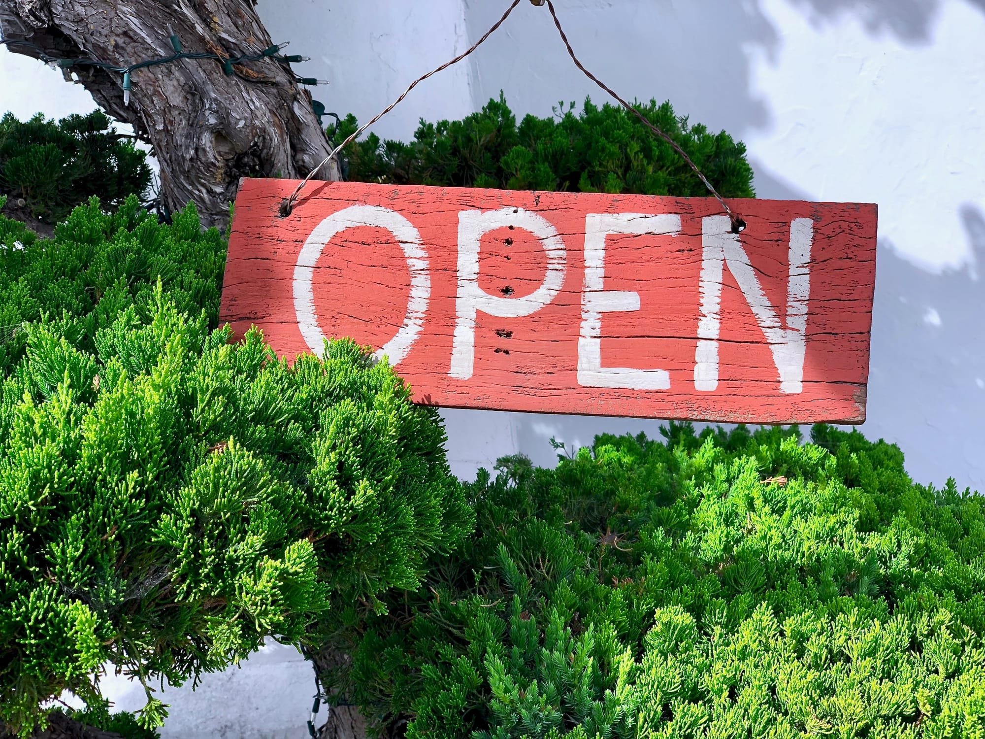 The Importance of Being Open-Minded When Investing