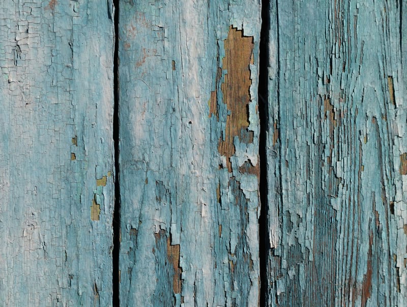 Should You Paint Over Rotted Wood? BusinessConnects