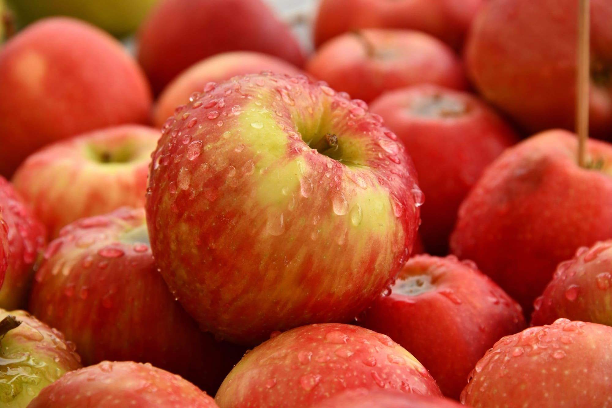 فوائد سحرية للتفاح.. أهمها الحماية من السرطان