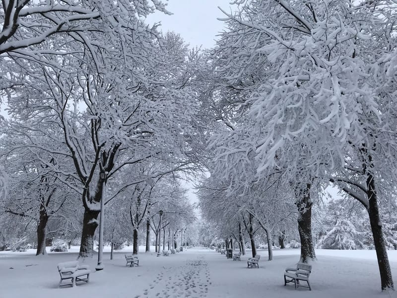 Winter aanbieding