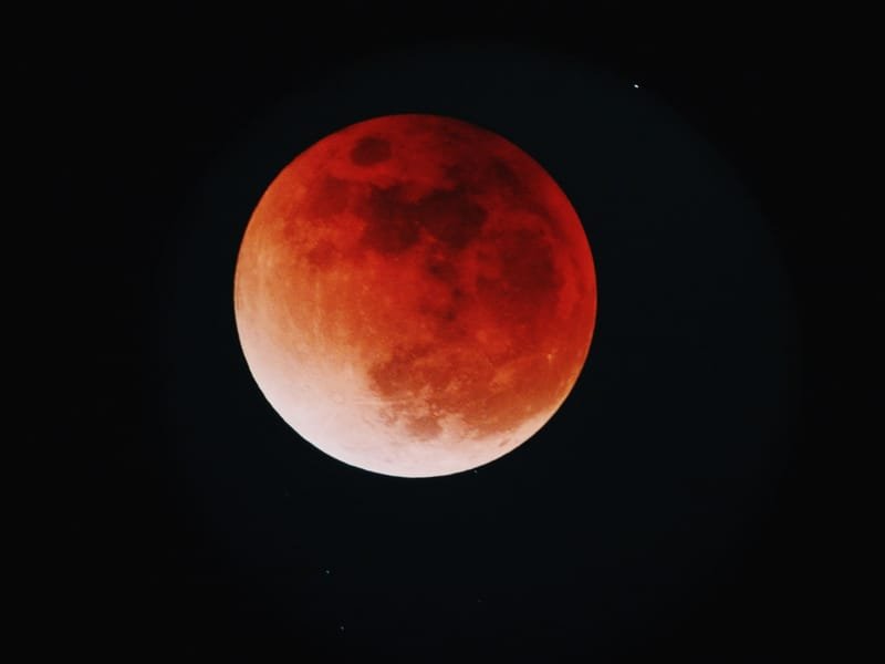 Flower Blood Moon Women's Circle in May 2022