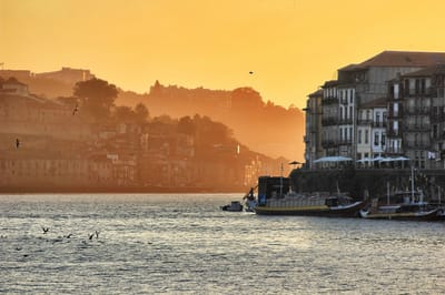 Conseil à l'installation professionnelle au Portugal image