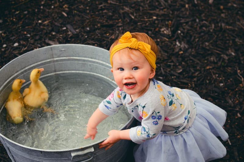 Toddler Care