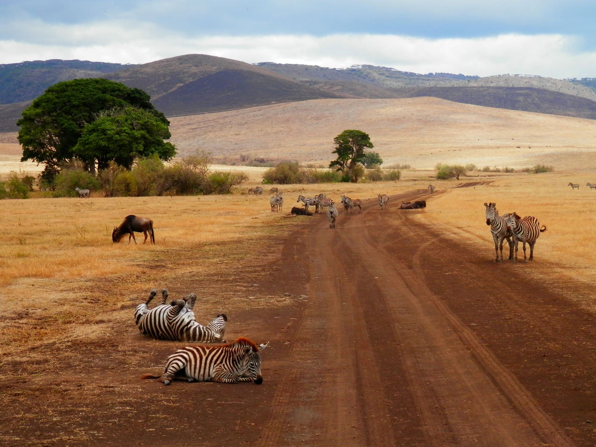 COMBINATO TANZANIA E ZANZIBAR