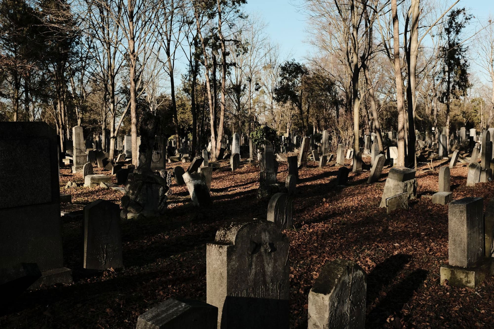 Gestion et entretien du cimetière dans les petites communes rurales
QUESTION ÉCRITE

Question écrite n°01733 - 16e législature