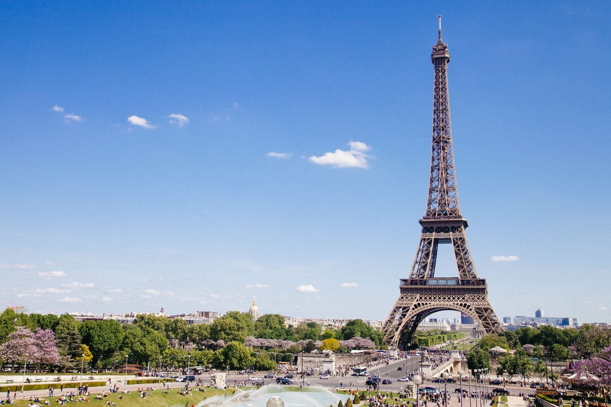 إلغاء إقامة النسخة الـ 58 لمعرض باريس الدولي للزراعة بسبب انتشار كورونا