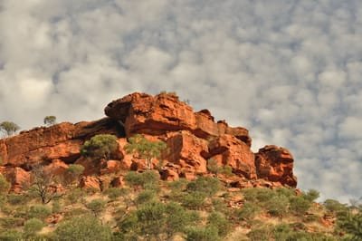 About The Outback image