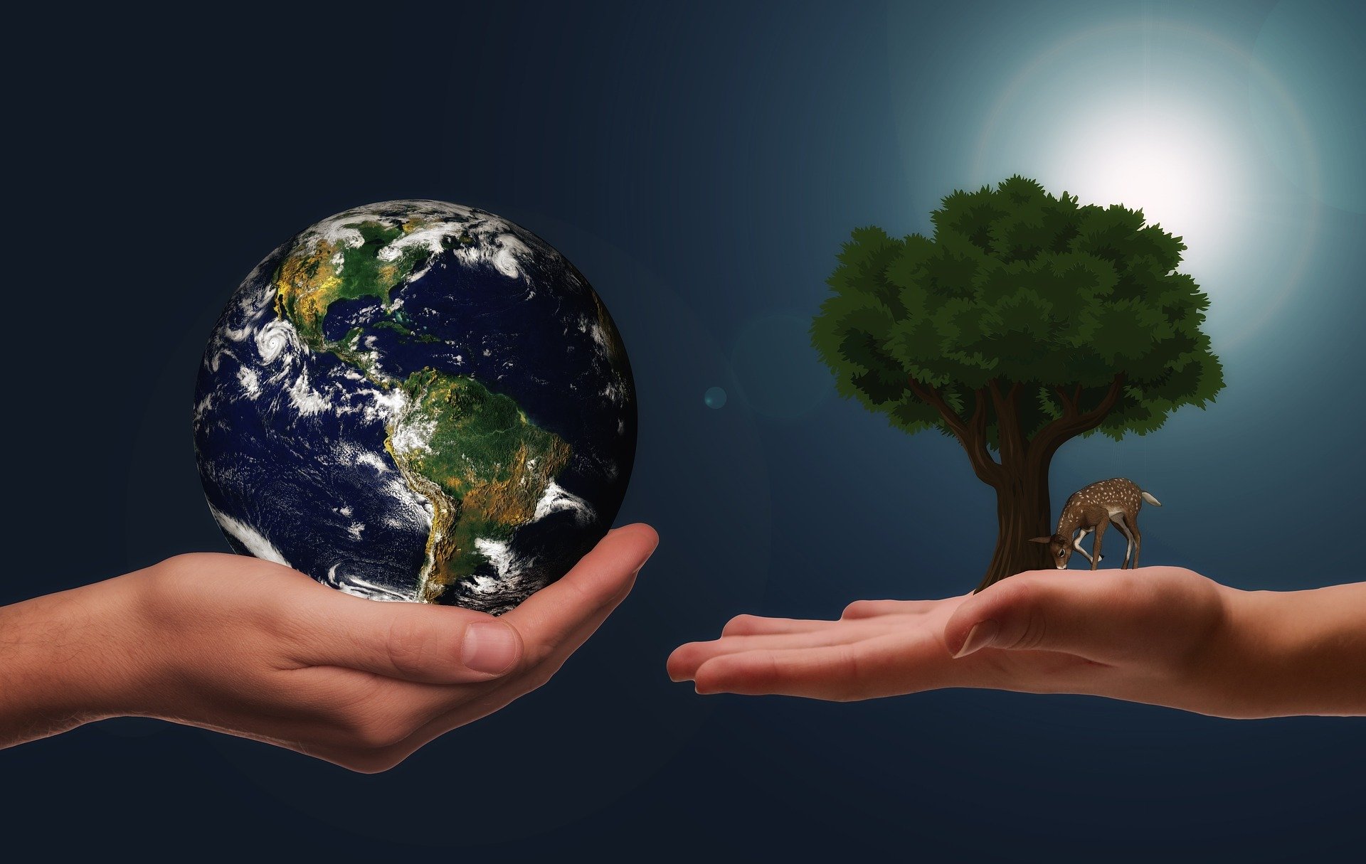 La educación ambiental como motor del cambio. Aprendizaje Ambiental Activo