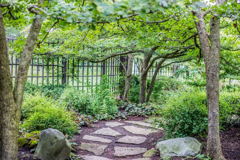 Hardscaping