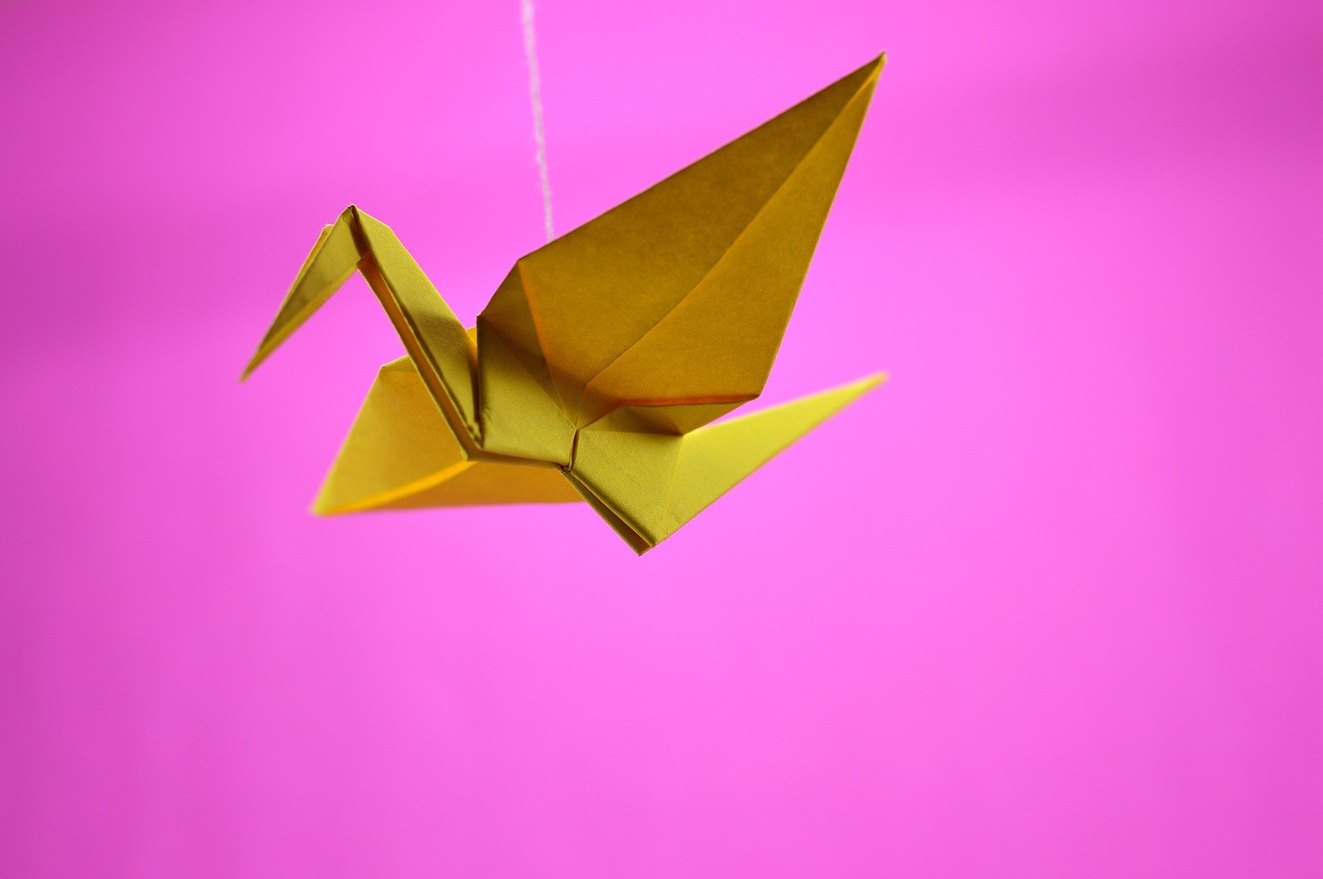 Adult Crafts: Beginner Origami