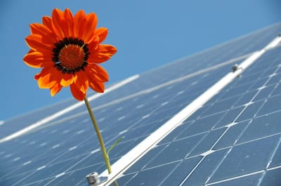 Panels image