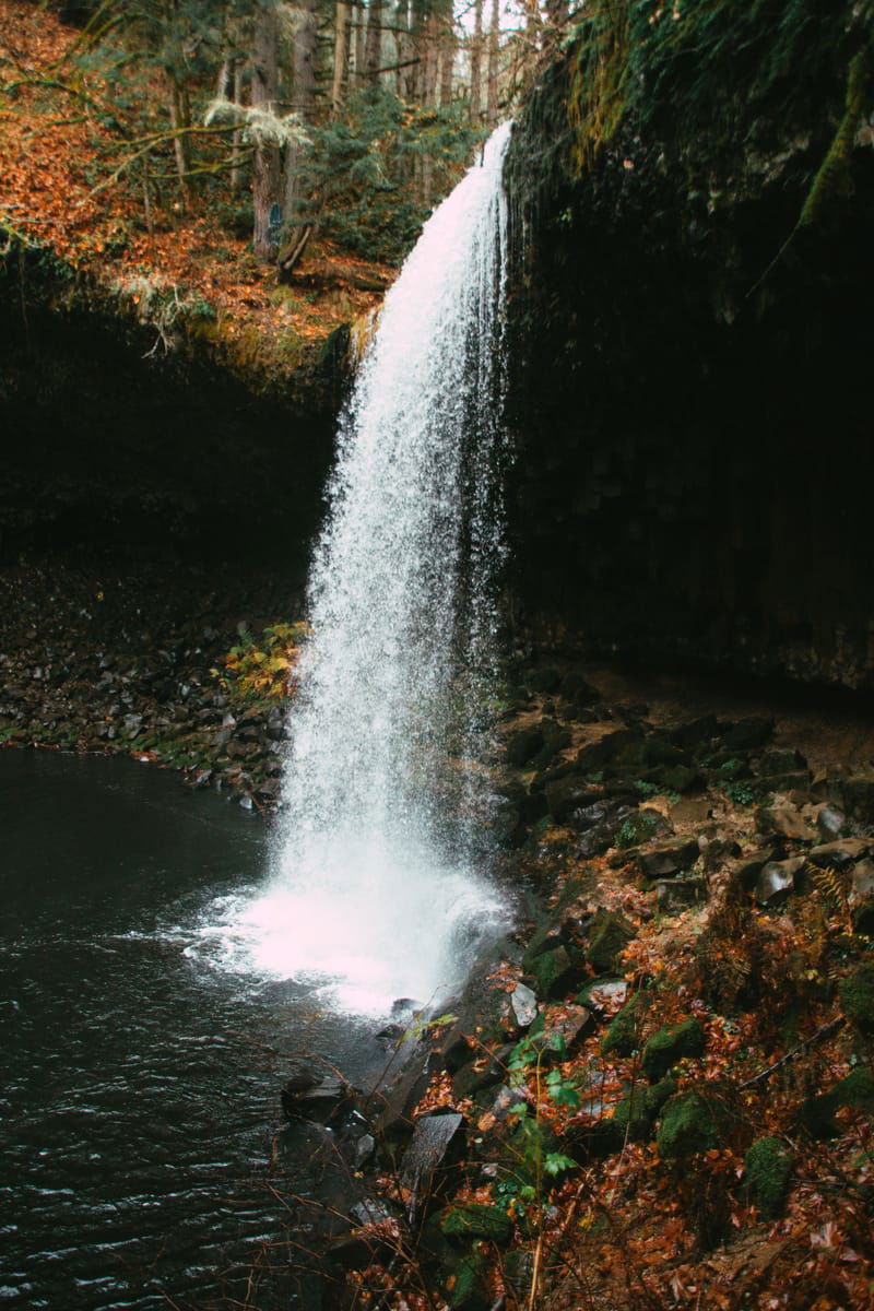 REOUVERTURE DE LA PÊCHE