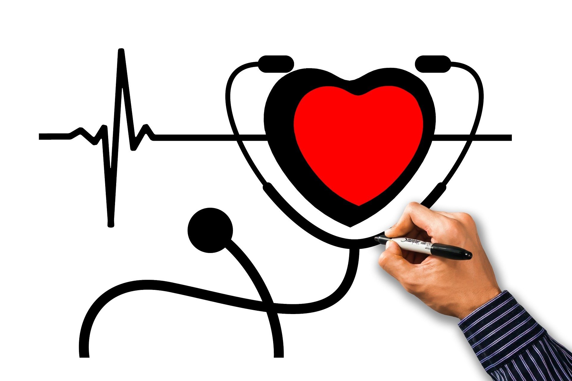 دراسة تكشف العلاقة بين الأطعمة فائقة المعالجة وصحة القلب والأوعية الدموية