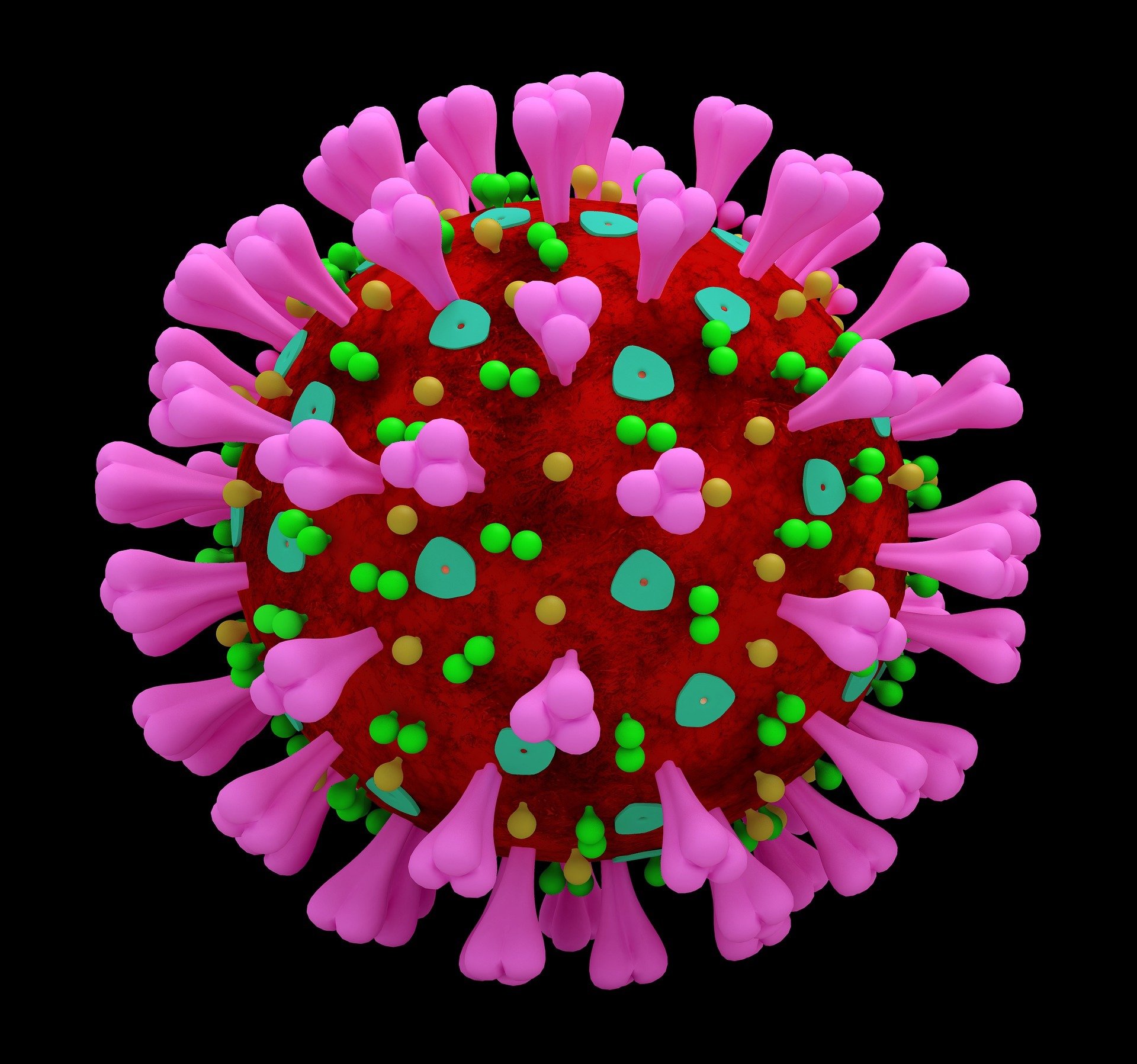ماهي الذاكرة المناعية التي تحمي اجسامنا من فيروس كورونا COVID-19. للدكتور عروة محمد هاني الملي/المانيا