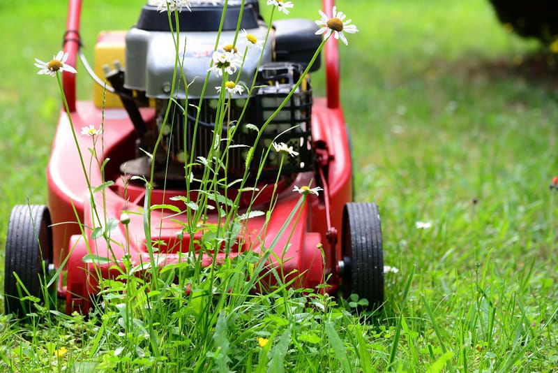 Lawn care