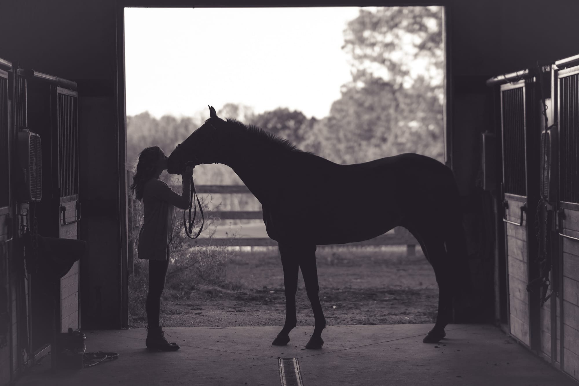 One Students Dream- Equine Article