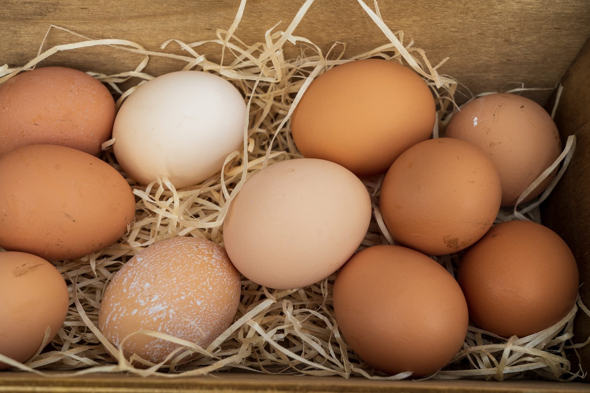 30+ Ways To Preserve Eggs