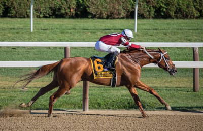 About The kentucky derby image