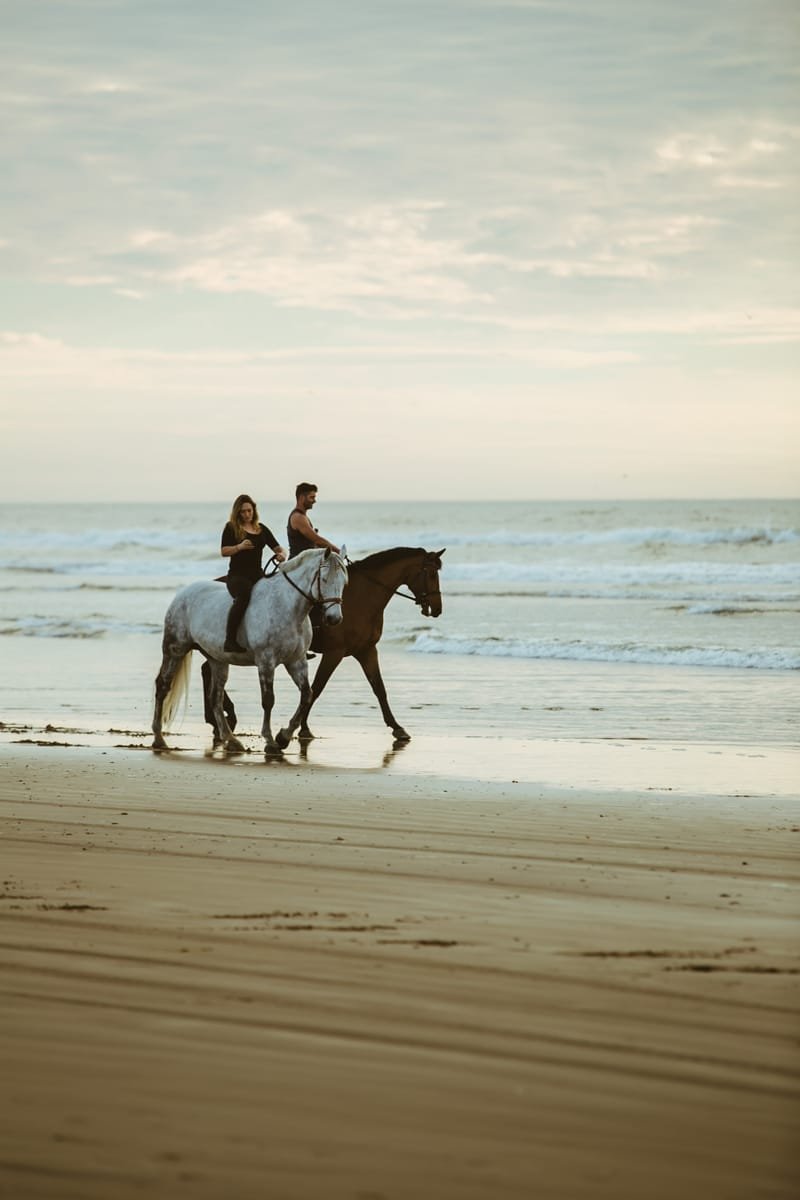 Horse Riding at Praia Grande Silves - Albufeira