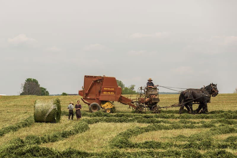 Philadelphia & Amish Area 1-Day Tour