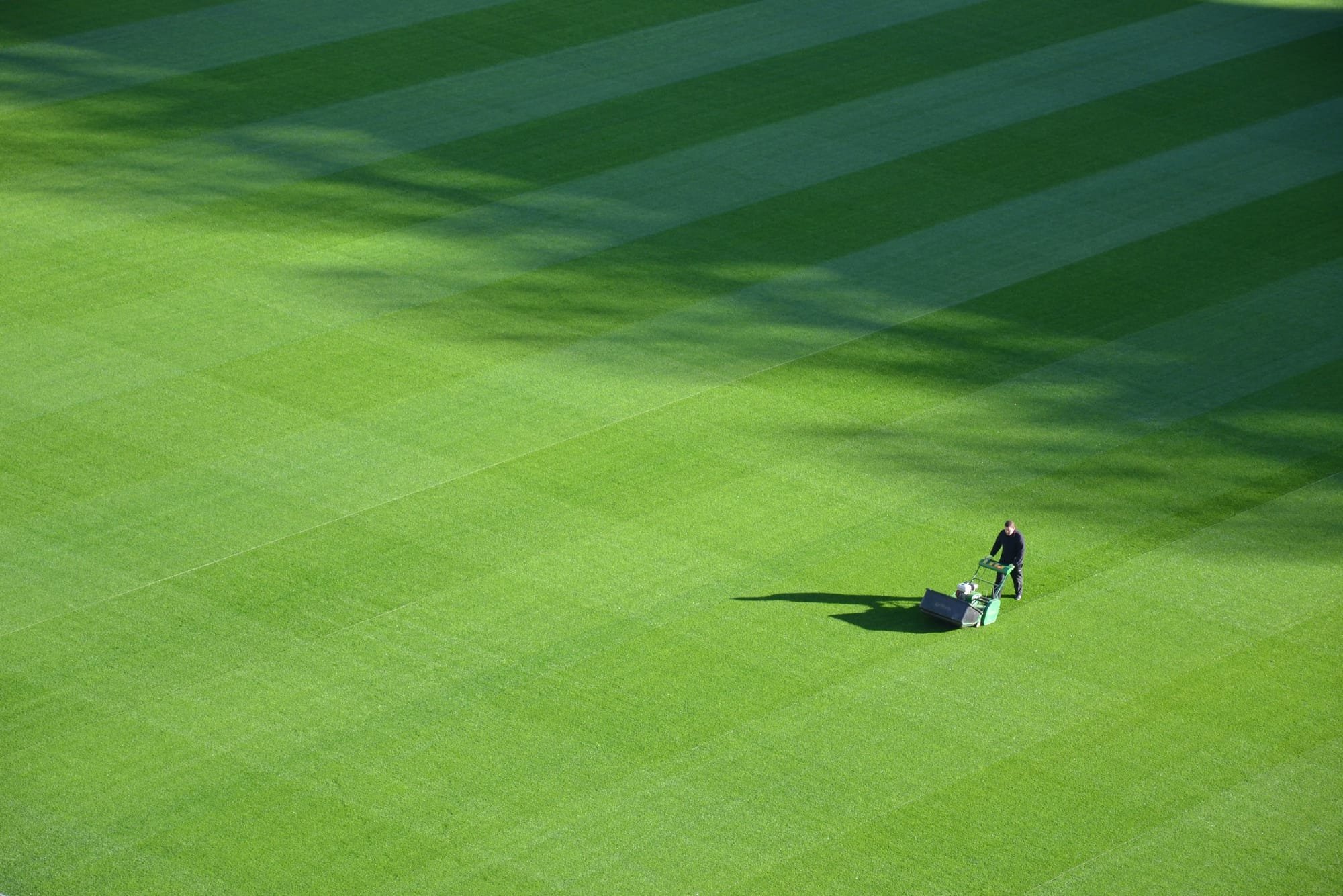 6 Things You Should Look For In A Good Lawn Care Business