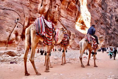 About PETRA &amp; JORDAN image