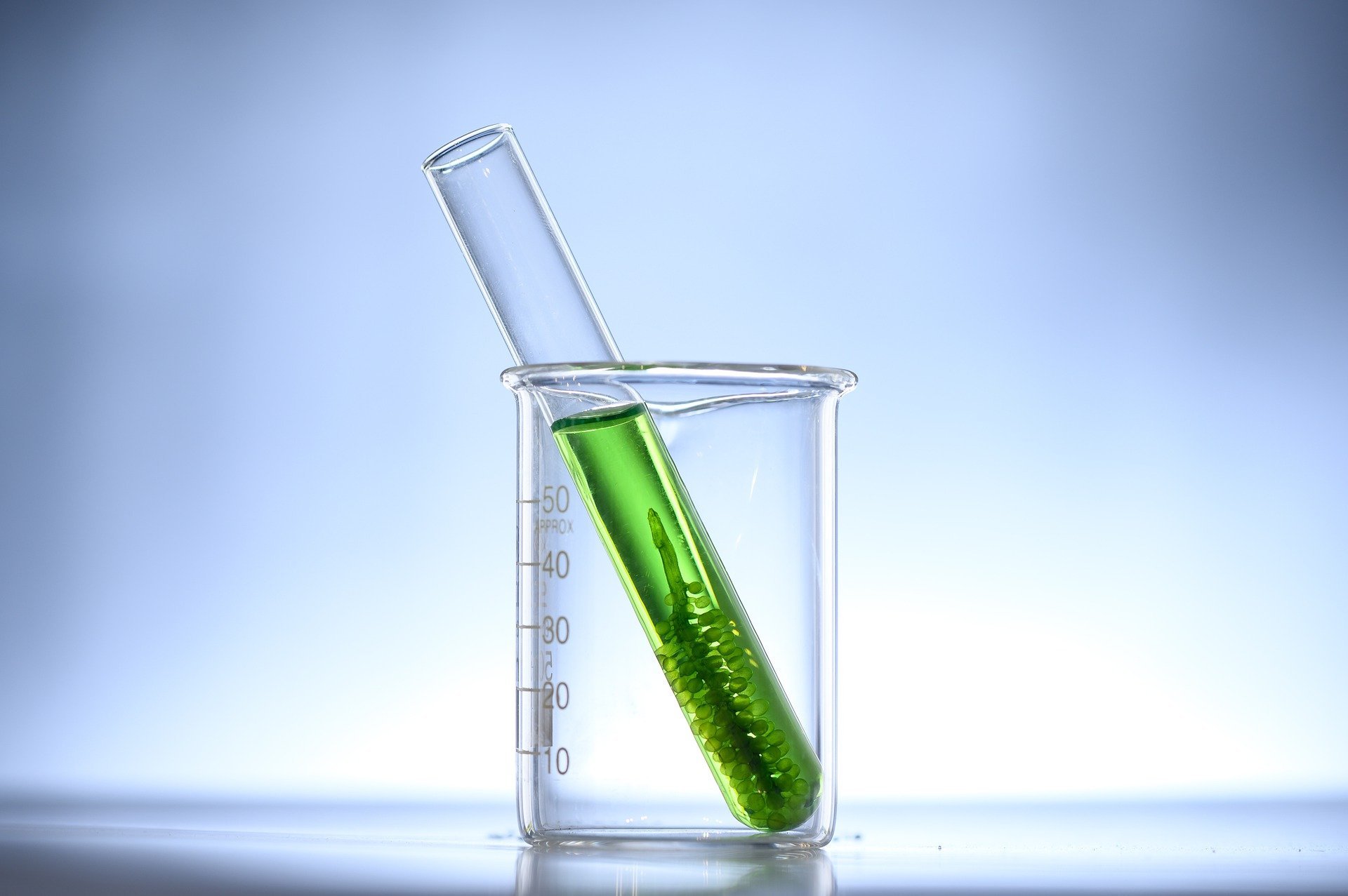 Value chemicals and biopolymers from Microalgal biomass