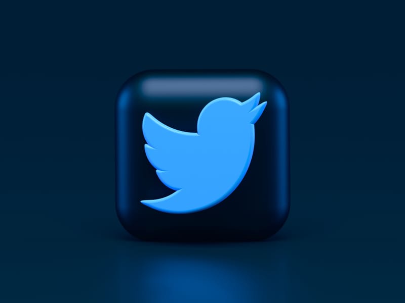 Twitter 🐤