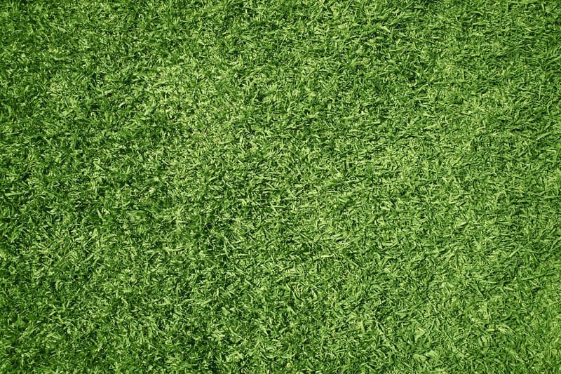 Fertilization & Weed Control