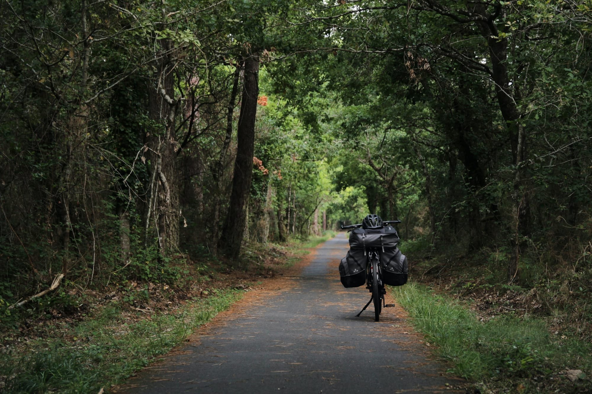 La popularidad del bikepacking y el creciente interés en el turismo sostenible y de aventura